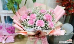 传递温情与崇敬的鲜花之语 粉色康乃馨的象征意义