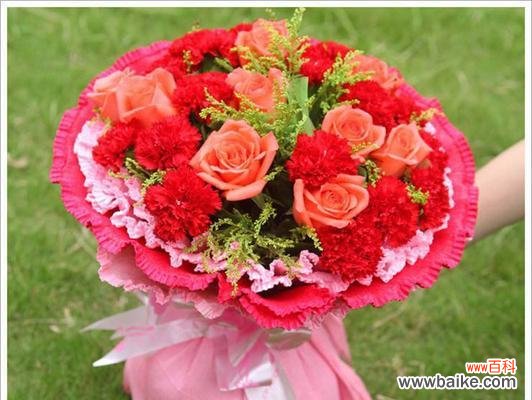 康乃馨花语的浪漫寓意及其象征的爱情 康乃馨花语