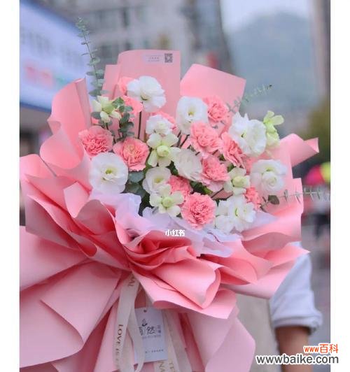 探索粉色康乃馨的深意与象征意义 康乃馨的代表寓意及其鲜花语言