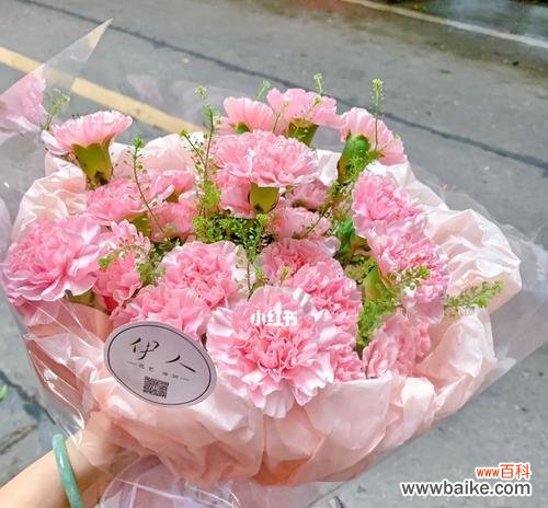 探索粉色康乃馨的深意与象征意义 康乃馨的代表寓意及其鲜花语言