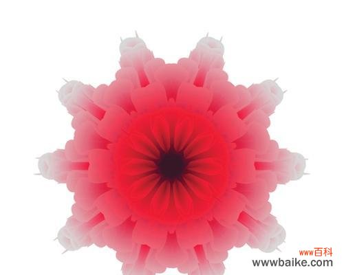 用花语讲述心灵的柔软与美好 粉色曼陀罗的花语