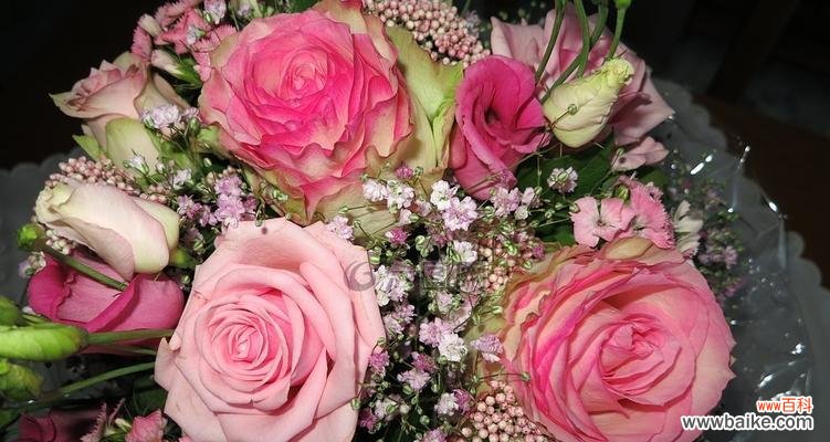 探索粉色玫瑰花在爱情 粉色玫瑰花的寓意