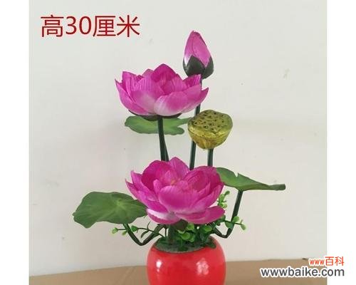 佛教文化中的佛莲花意义探析 佛莲花