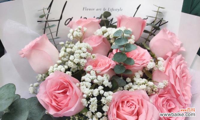 探寻粉色玫瑰花的浪漫与温柔 粉色玫瑰花的寓意与花语