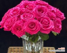 探索粉色玫瑰花的深层寓意与美丽 粉色玫瑰花的意义与象征——纯真、爱与感恩