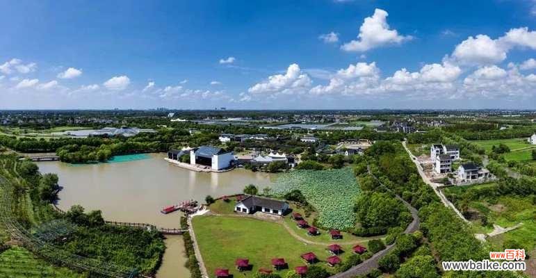 探寻花海中的生命之美 高雪轮的花语与美丽传承