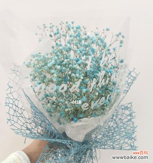 用满天星传递幸福与希望 满天星花语