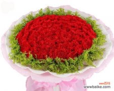 传达爱与热情的红色康乃馨 红色康乃馨花语和寓意花语的意义