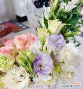 桔梗花语解读及其在生活中的应用 桔梗花语——多彩世界中的美好寓意