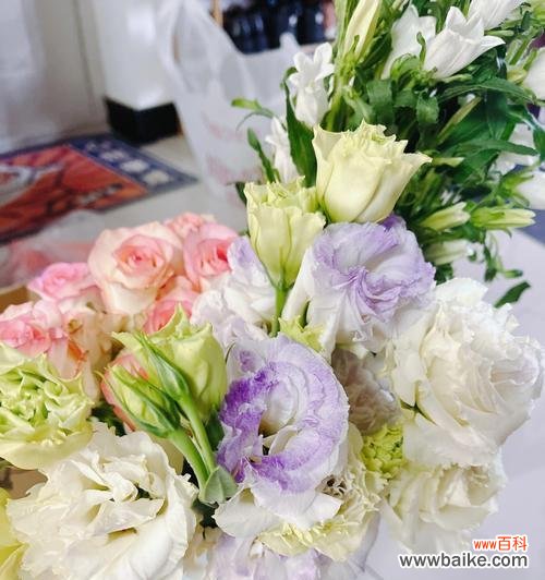 桔梗花语解读及其在生活中的应用 桔梗花语——多彩世界中的美好寓意