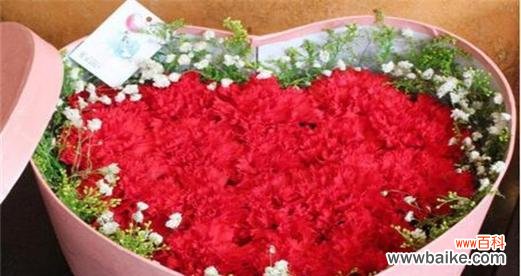 揭示红色康乃馨所代表的爱情与热情 红色康乃馨的花语和象征意义