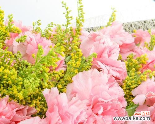 探索黄英花语的内涵及其在生活中的象征意义 黄英花语与寓意