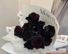 探索黑色玫瑰所传递的情感和象征意义 黑色玫瑰花语