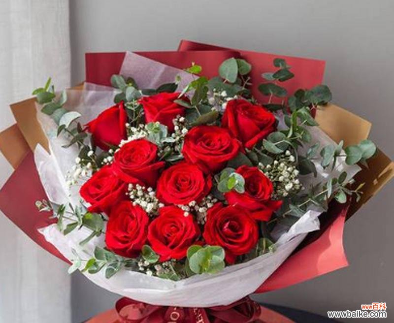 红玫瑰朵数所传递的情感和象征意义 红玫瑰朵数之意义
