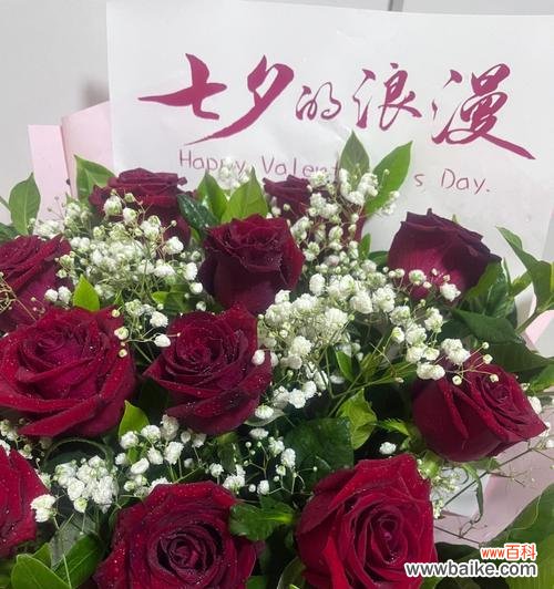 探寻红玫瑰花的意义与表达方式 红玫瑰花的寓意与象征