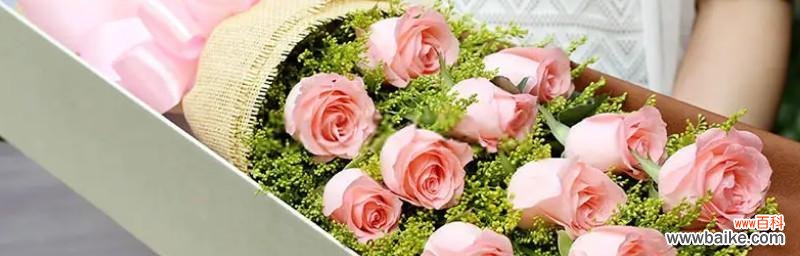 红玫瑰与粉玫瑰的不同寓意与传达方式 红玫瑰与粉玫瑰