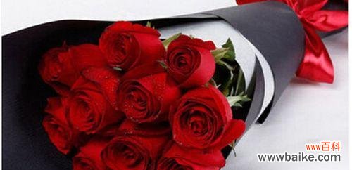 红玫瑰与粉玫瑰的不同寓意与传达方式 红玫瑰与粉玫瑰