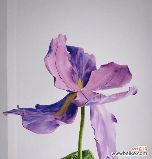 矢车菊花语的传统与变革 矢车菊花语的寓意——坚毅和忠诚