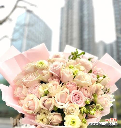 探索粉色玫瑰花的浪漫之美与情感意味 粉色玫瑰花的美丽与象征意义