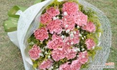 探秘康乃馨的意义与传递的情感 康乃馨花语的象征与寓意