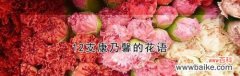 康乃馨花语的意义和象征力 康乃馨花语与寓意——美丽与真爱的象征