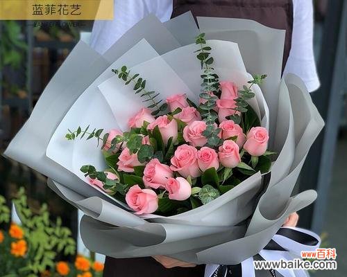 探索粉色玫瑰花的浪漫与温柔 粉色玫瑰花的代表寓意