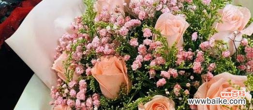 探索粉色玫瑰花的象征意义与传递信息 粉色玫瑰花的寓意与花语