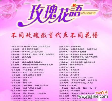 探寻粉色玫瑰花的花语和象征意义 粉色玫瑰花语