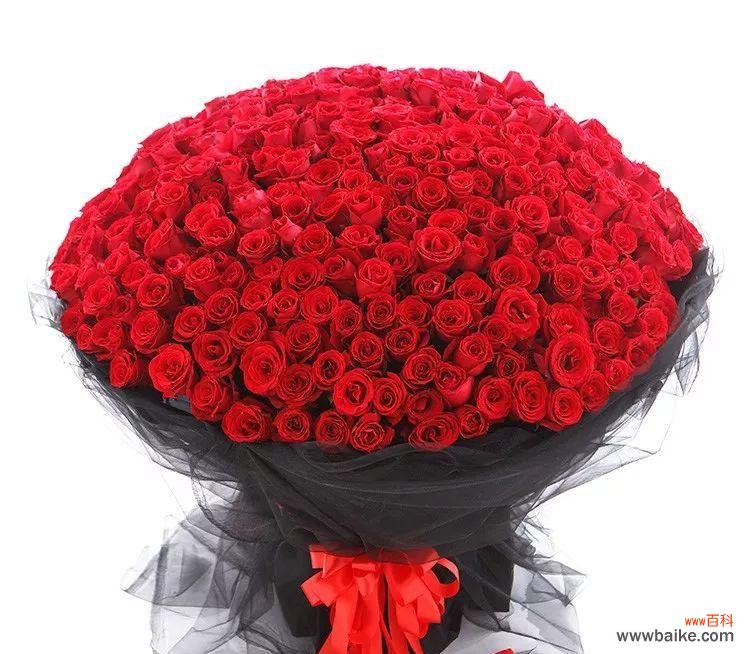 红玫瑰的浓情蜜意 红玫瑰花语大全及寓意解析