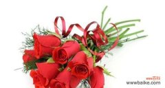 探索红玫瑰的花语和象征意义 红玫瑰花语与寓意的魅力