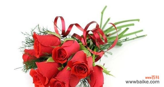 探索红玫瑰的花语和象征意义 红玫瑰花语与寓意的魅力