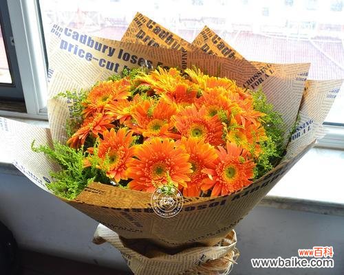 透过花语感受爱的表达 以扶郎的花语