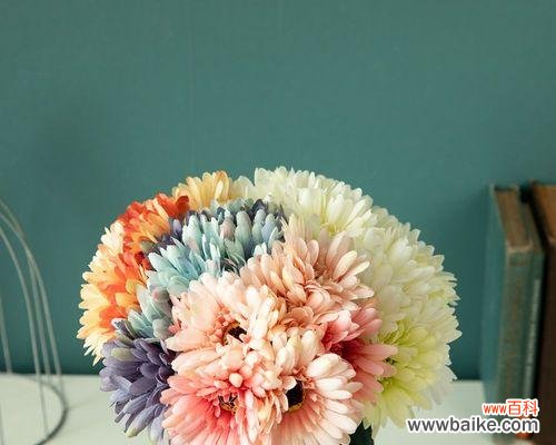 透过花语感受爱的表达 以扶郎的花语