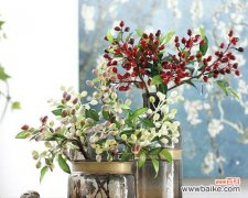 美丽的橄榄花在传说中的重要角色与象征含义 橄榄花的传说与象征意义