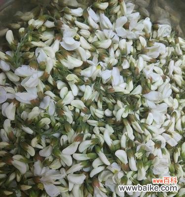 揭开槐花的神秘面纱 槐花的花语意义