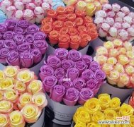 了解玫瑰花不同颜色的象征意义 玫瑰花颜色的含义