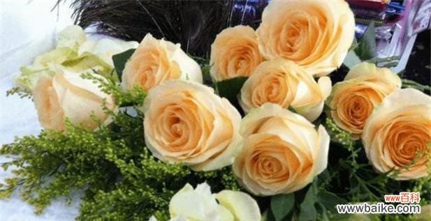 探寻黄玫瑰背后的情感和意义 黄玫瑰的花语与象征意义