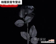 传达爱情 黑玫瑰
