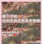 用花语传递爱与祝福 十一朵玫瑰的花语之美丽表达