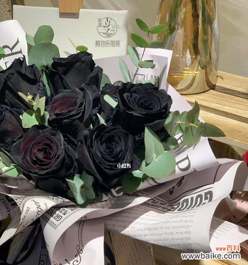 黑玫瑰花语 以黑玫瑰花语传递深情,送给至亲爱友的选择