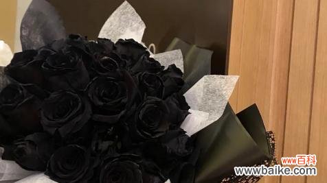 深情与神秘交织的花朵 黑色玫瑰的寓意