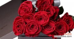 用花语解读红玫瑰的数量 红玫瑰朵数的象征意义