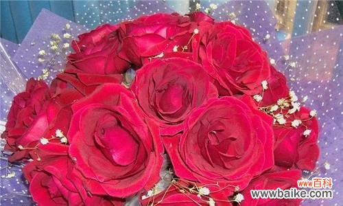 用花语解读红玫瑰的数量 红玫瑰朵数的象征意义