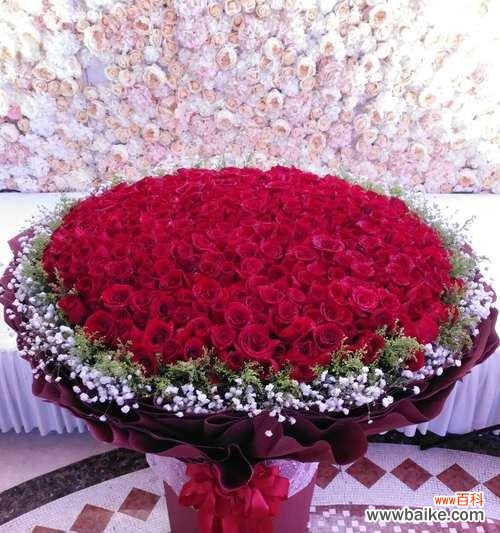 爱情的化身与热情的象征 红玫瑰的寓意与象征意义