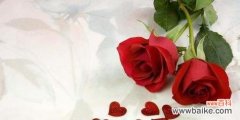 33朵红玫瑰散发着浓浓的爱意 红玫瑰的花语