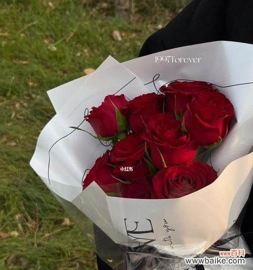 十九朵红玫瑰花语的含义及诠释 十九朵红玫瑰的花语