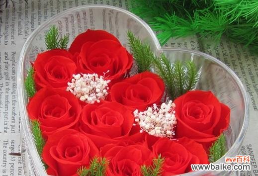 美丽花朵中的深刻寓意 九朵玫瑰花的象征意义及寓意