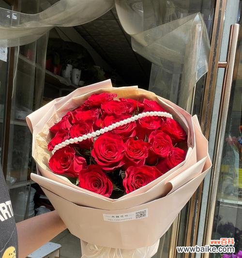 探寻红玫瑰的深意 红玫瑰花的寓意与象征