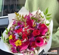 绽放在湖畔的红色诗意 红色马蹄莲花的美丽与象征意义