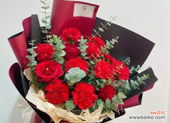 红色康乃馨传递的爱与热情 红色康乃馨的花语与寓意